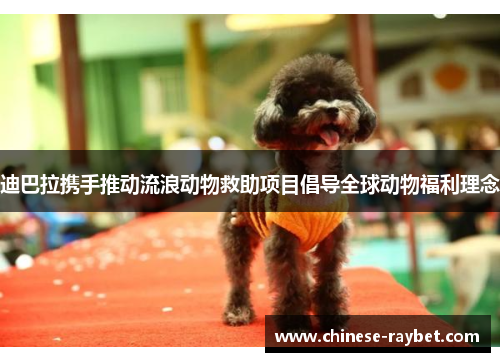 迪巴拉携手推动流浪动物救助项目倡导全球动物福利理念 迪巴拉携手推动流浪动物救助项目倡导全球动物福利理念
