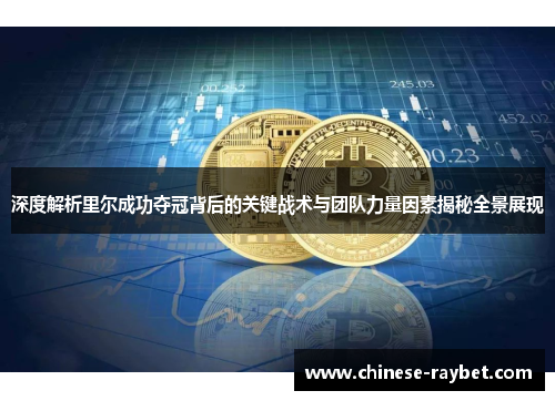 深度解析里尔成功夺冠背后的关键战术与团队力量因素揭秘全景展现 深度解析里尔成功夺冠背后的关键战术与团队力量因素揭秘全景展现