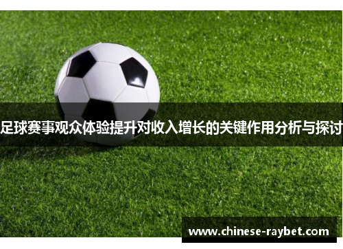 足球赛事观众体验提升对收入增长的关键作用分析与探讨