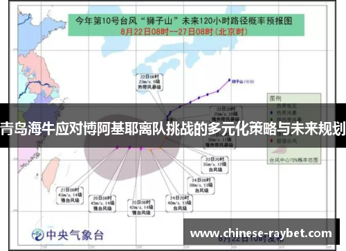 青岛海牛应对博阿基耶离队挑战的多元化策略与未来规划 青岛海牛应对博阿基耶离队挑战的多元化策略与未来规划